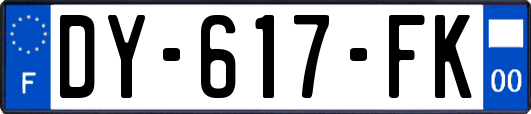 DY-617-FK