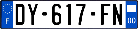 DY-617-FN