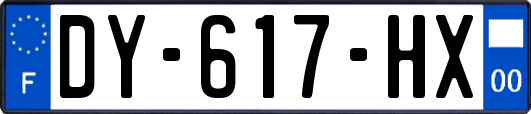 DY-617-HX