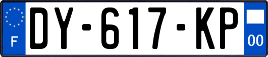 DY-617-KP