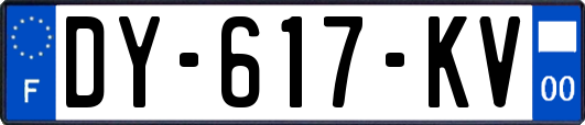 DY-617-KV