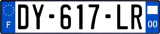 DY-617-LR