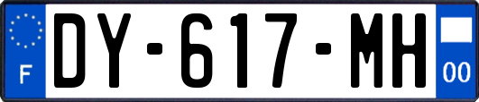 DY-617-MH