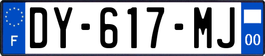 DY-617-MJ