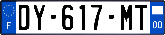 DY-617-MT