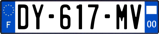 DY-617-MV