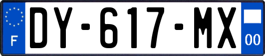 DY-617-MX
