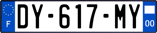 DY-617-MY