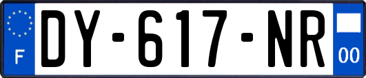 DY-617-NR