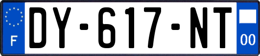 DY-617-NT