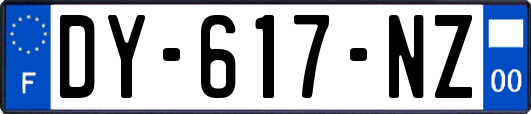 DY-617-NZ