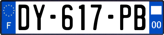 DY-617-PB