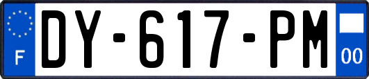 DY-617-PM