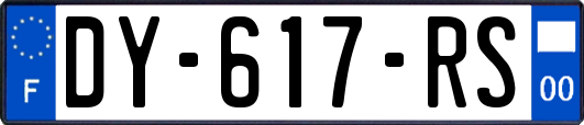 DY-617-RS