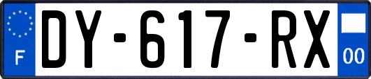 DY-617-RX