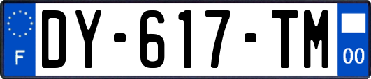 DY-617-TM