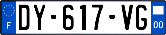 DY-617-VG