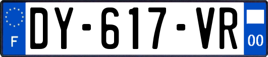 DY-617-VR