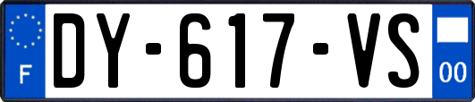 DY-617-VS