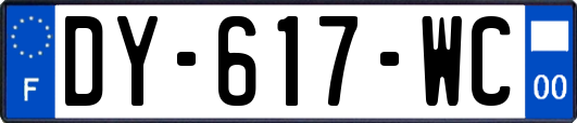 DY-617-WC