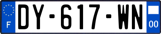 DY-617-WN