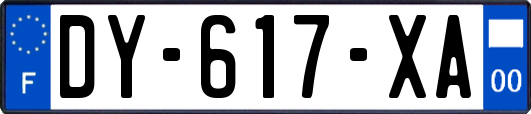 DY-617-XA