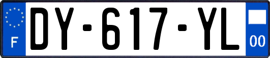 DY-617-YL