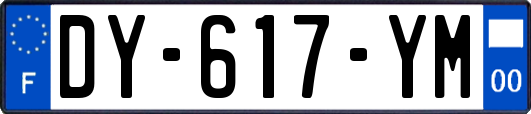DY-617-YM