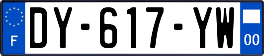 DY-617-YW