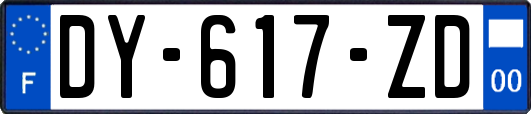 DY-617-ZD