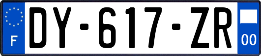 DY-617-ZR