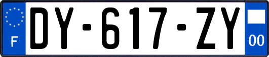 DY-617-ZY