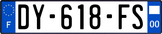 DY-618-FS