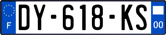 DY-618-KS