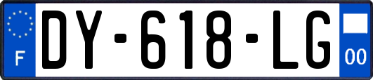 DY-618-LG