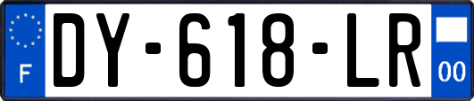DY-618-LR