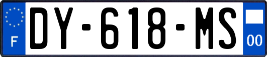 DY-618-MS