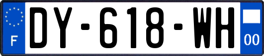 DY-618-WH