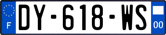 DY-618-WS