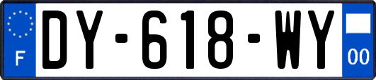 DY-618-WY