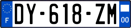 DY-618-ZM