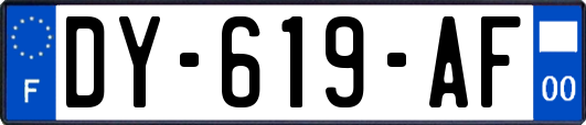 DY-619-AF