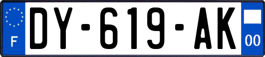 DY-619-AK