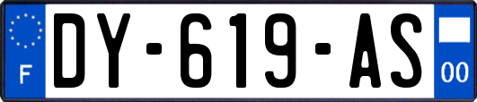DY-619-AS