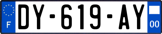 DY-619-AY