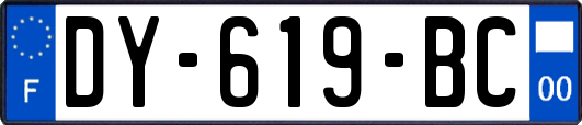 DY-619-BC