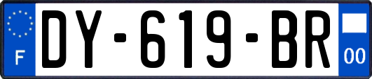 DY-619-BR