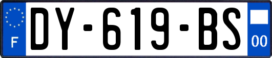 DY-619-BS