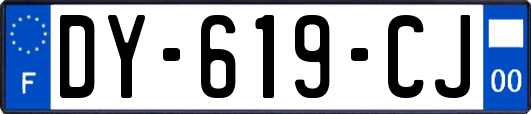 DY-619-CJ