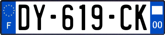 DY-619-CK